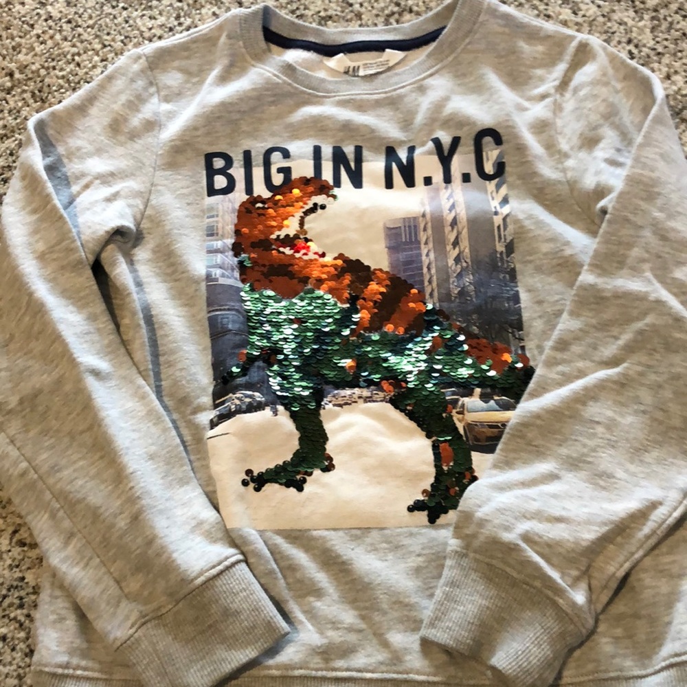 H&M boys sequins Dinosaur sweatshirt
